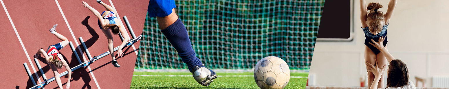Linha de Apoio à Economia Covid-19 - Federações Desportivas Linha de Apoio à Economia Covid-19 - Federações Desportivas